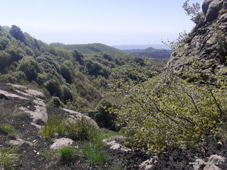 qua Rocca15-05-2022 10-06-21